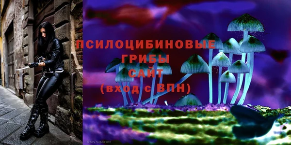 амфетамин Алексин