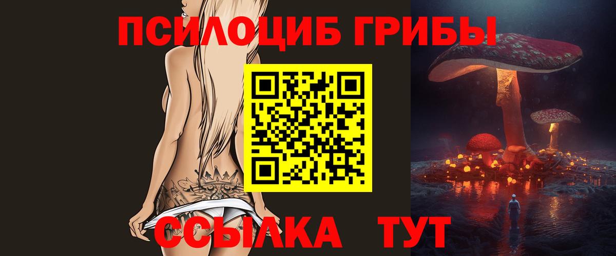 Галлюциногенные грибы Cubensis  Вход с VPN  Шуя 