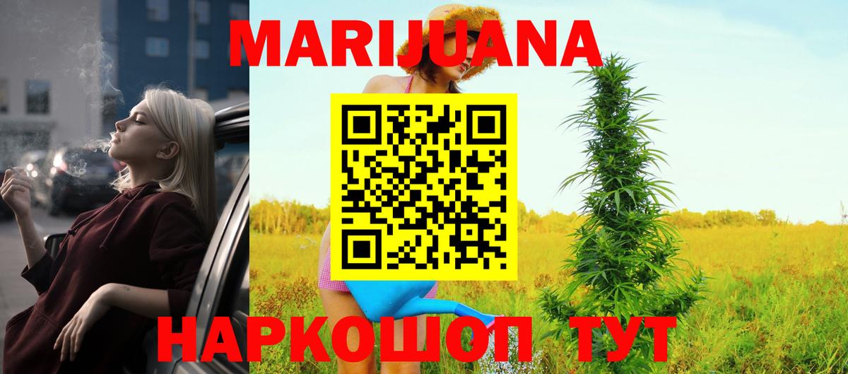 Каннабис конопля Шуя